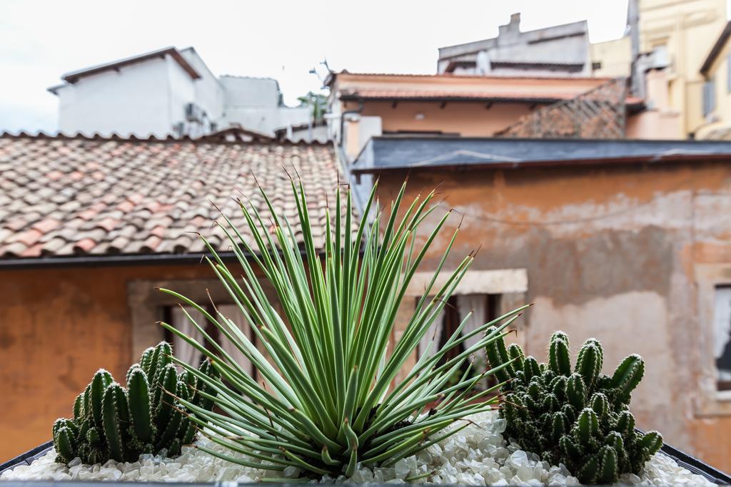 Casa Serena Roma Cameră foto